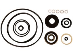 Buyers Products 1306220 Basic Seal Kit 