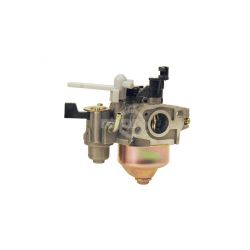 Rotary 13193 Carburetor 