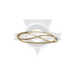 Rotary 13255 V-Belt 