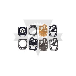 Rotary 13415 Gasket & Diaphram Kit - ROT 13415