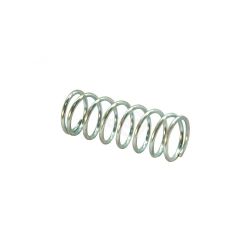 Rotary 15152 Spring 
