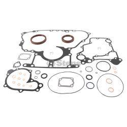 Stens 1909-1021 Gasket Kit 