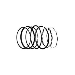 Rotary 2475 .010 Piston Ring Set 