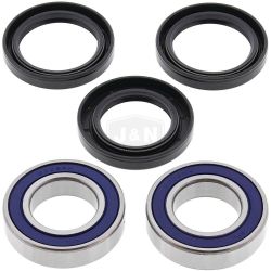 Stens 25-1499 Wheel Bearing & Seal Kit 