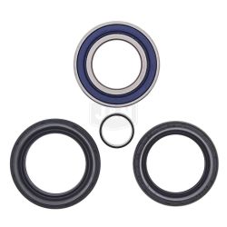 Stens 25-1572 Wheel Bearing Kit 