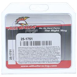 Stens 25-1751 Wheel Bearing Kit - STE 25-1751
