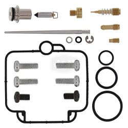 Stens 26-1020 Carburetor Rebuild Kit 