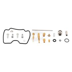 Stens 26-1093 Carburetor Rebuild Kit 