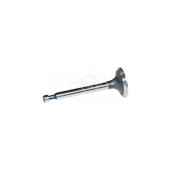 Rotary 2830 Intake Valve 
