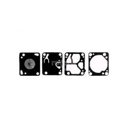 Rotary 4209 Carburetor Kit 