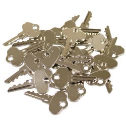Stens 430-025-25 Ignition Key Shop Pack 