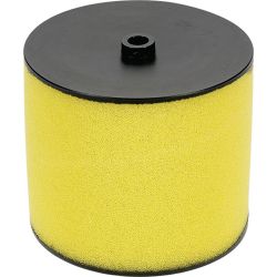 Stens 48-1030 Air Filter Kit 