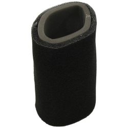 Stens 48-1061 Air Filter Kit 