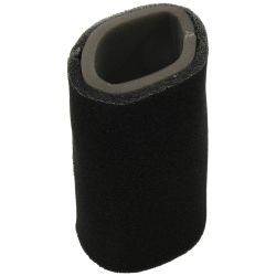Stens 48-1061 Air Filter Kit - STE 48-1061