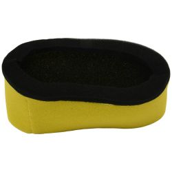 Stens 48-1074 Air Filter Kit 