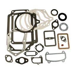 Stens 480-339 Gasket Set 