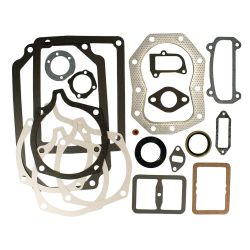 Stens 480-343 Gasket Set 