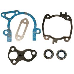 Stens 480-765 Gasket Set 