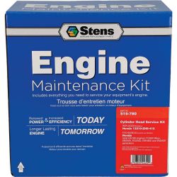 Stens 515-780 Cylinder Head Service Kit - STE 515-780