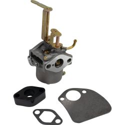 Stens 520-876 Carburetor 