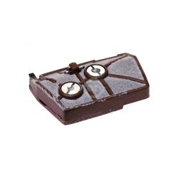 Rotary 5834 Air Filter 