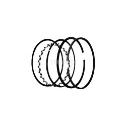 Rotary 6799 Piston Ring Set (.010) 