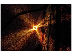 Buyers Products 8891016 4" 16 LED Amber Rechargeable Round Strobe Road Flare - BUY 8891016