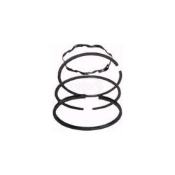 Rotary 8946 .020 Piston Rings 