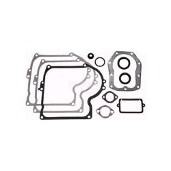 Rotary 8951 Gasket Set 