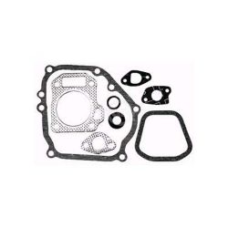 Rotary 9842 Gasket Set 
