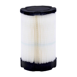 Ariens 21561900 Briggs & Stratton Air Filter 