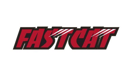 Bobcat 4143687 Fastcat Label 