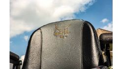 Bobcat 4178567 6000 Suspension Seat - BOB 4178567