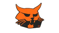 Bobcat 4179392 Large Cat Label - BOB 4179392