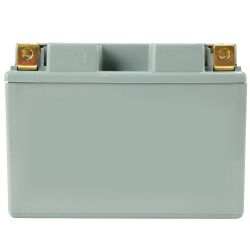MTD 490-280-F017 11AHR AGM Battery 