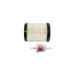 MTD 490-950-C060 Air/Fuel Briggs Kit 