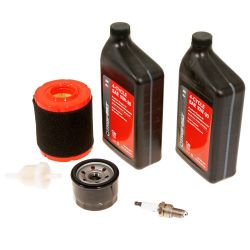 MTD 490-950-Y073 547cc Cub Maintenance Kit 