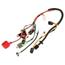 MTD 725-06041 CR12 NO RM Harness - MTD 725-06041