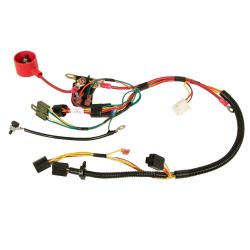 MTD 725-06041 CR12 NO RM Harness - MTD 725-06041