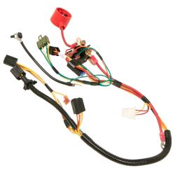 MTD 725-06041 CR12 NO RM Harness - MTD 725-06041