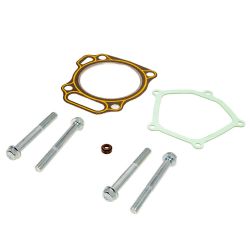 MTD 951-12555 Cylinder Head Kit 