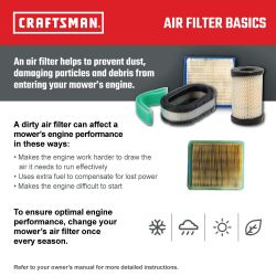 MTD CMXGZAM200047 Air Filter Briggs - MTD CMXGZAM200047