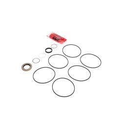 Toro 100-6131 Seal Kit 