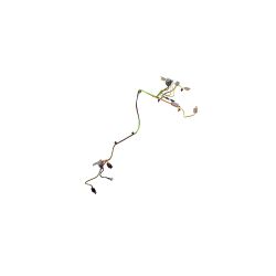 Toro 138-6892 Wasp Wire Harness - TOR 138-6892