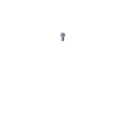 Toro 139-0569 Hex Head Flange Screw - TOR 139-0569
