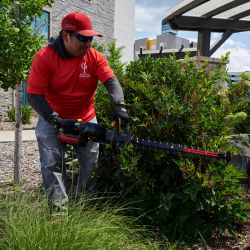 Toro 66120T 60V Pro Hedge Trimmer (Bare Tool) - TOR 66120T