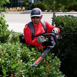 Toro 66120T 60V Pro Hedge Trimmer (Bare Tool) - TOR 66120T