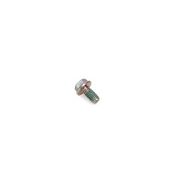Toro 93-2569 Screw-Hhf - TOR 93-2569