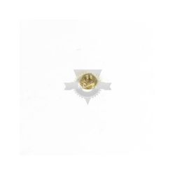 Briggs & Stratton 15X143MA 25-20 Hex Flange Ctr Nut 