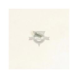 Briggs & Stratton 180016MA Screw 